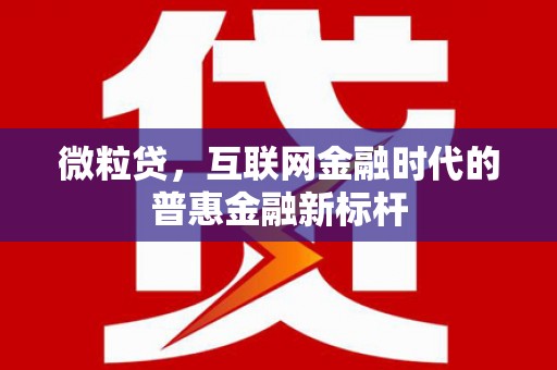 大武微粒贷，互联网金融时代的普惠金融新标杆