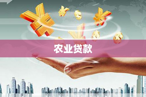 永平农业贷款