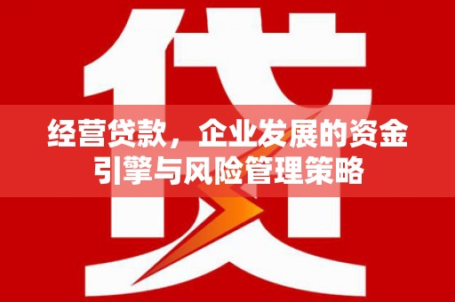 甘谷经营贷款，企业发展的资金引擎与风险管理策略