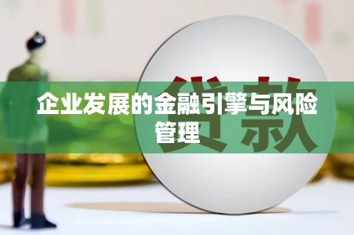隆子企业发展的金融引擎与风险管理