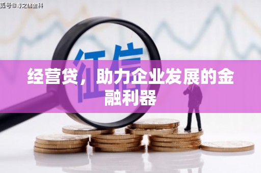 隆尧经营贷，助力企业发展的金融利器