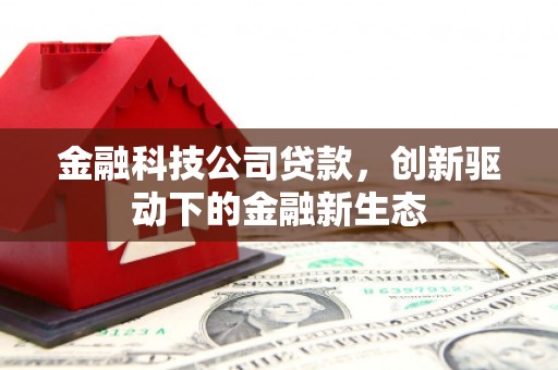 长葛金融科技公司贷款，创新驱动下的金融新生态