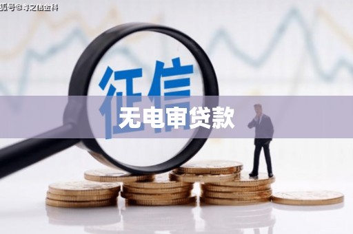 达孜无电审贷款