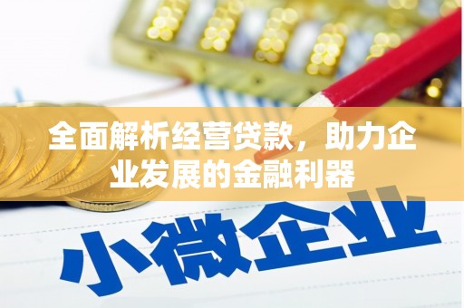 旺苍全面解析经营贷款，助力企业发展的金融利器