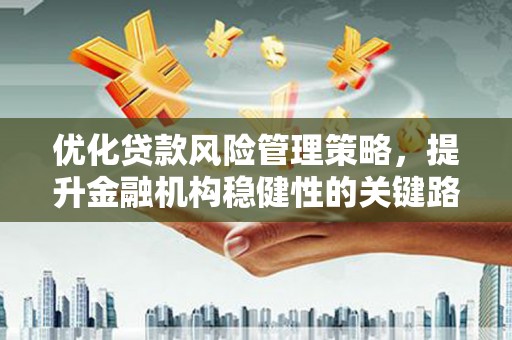 广水优化贷款风险管理策略，提升金融机构稳健性的关键路径