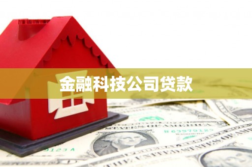 新会金融科技公司贷款