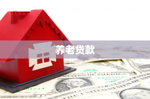 嵊泗养老贷款