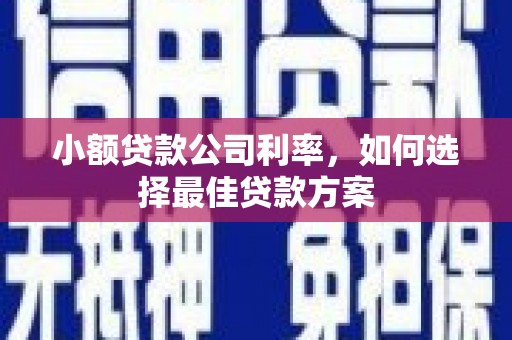 隆子小额贷款公司利率，如何选择最佳贷款方案