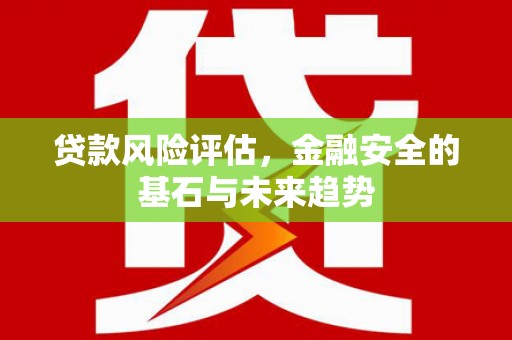 衡东贷款风险评估，金融安全的基石与未来趋势