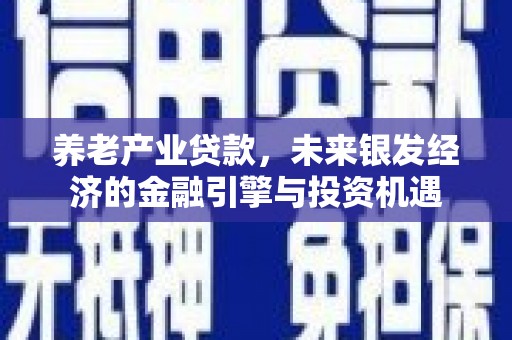 囊谦养老产业贷款，未来银发经济的金融引擎与投资机遇