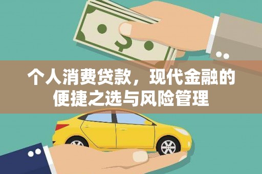 西夏个人消费贷款，现代金融的便捷之选与风险管理