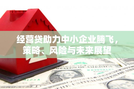 武邑经营贷助力中小企业腾飞，策略、风险与未来展望