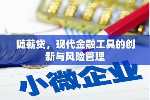东营随薪贷，现代金融工具的创新与风险管理