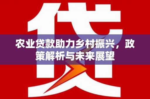宁晋农业贷款助力乡村振兴，政策解析与未来展望