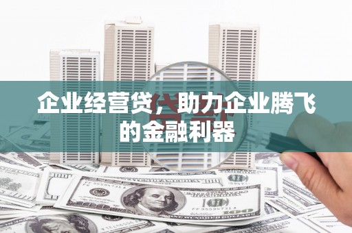 岳麓企业经营贷，助力企业腾飞的金融利器