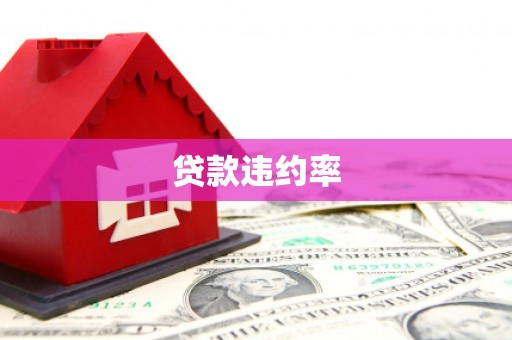 大兴安岭贷款违约率