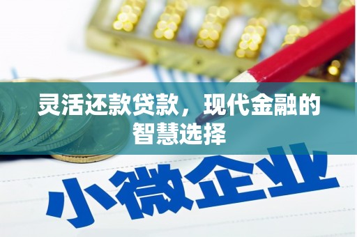左云灵活还款贷款，现代金融的智慧选择