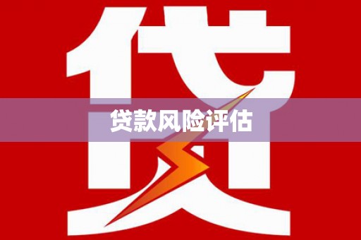 达孜贷款风险评估