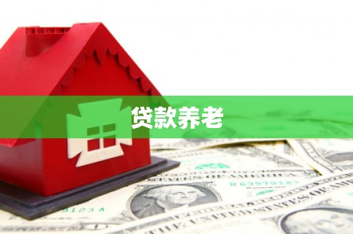 林甸贷款养老