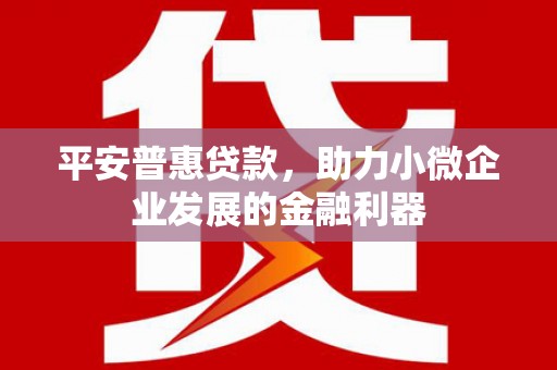 秦汉平安普惠贷款，助力小微企业发展的金融利器