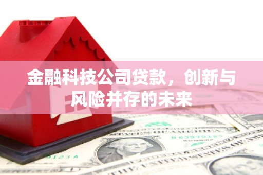丰顺金融科技公司贷款，创新与风险并存的未来