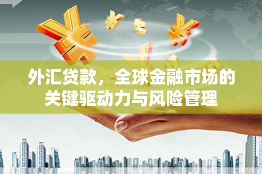 杜集外汇贷款，全球金融市场的关键驱动力与风险管理