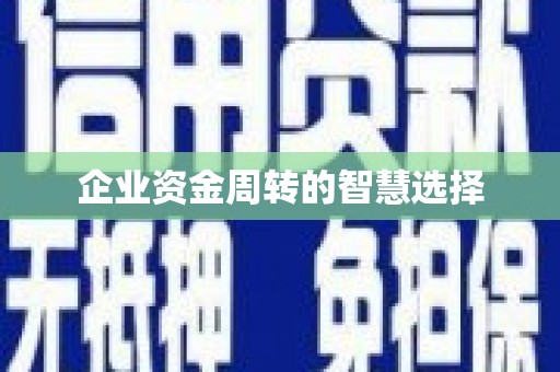 温宿企业资金周转的智慧选择