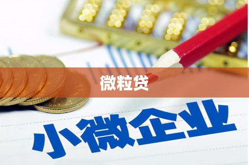 青白江微粒贷