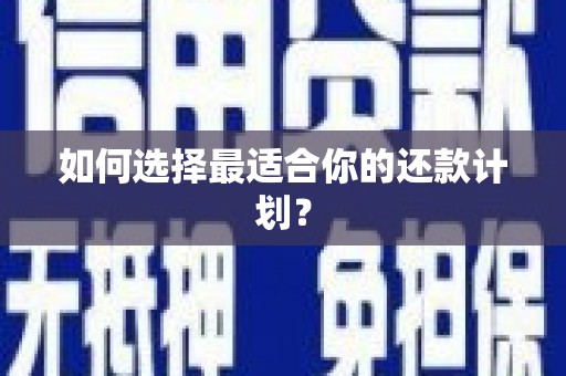 东安如何选择最适合你的还款计划？