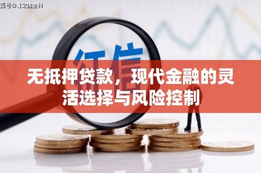 蒲城无抵押贷款，现代金融的灵活选择与风险控制