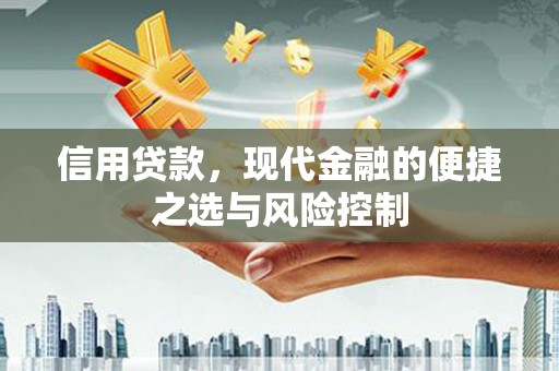 新晃信用贷款，现代金融的便捷之选与风险控制