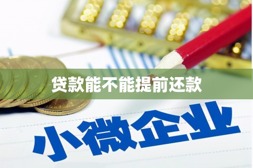 观音贷款能不能提前还款