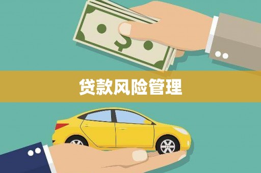 风顺堂区贷款风险管理