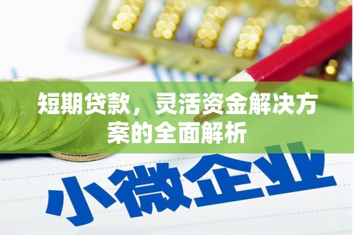 大村短期贷款，灵活资金解决方案的全面解析