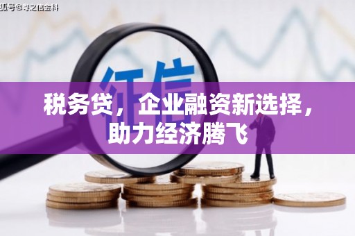 北市税务贷，企业融资新选择，助力经济腾飞