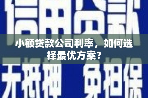 玄武小额贷款公司利率，如何选择最优方案？