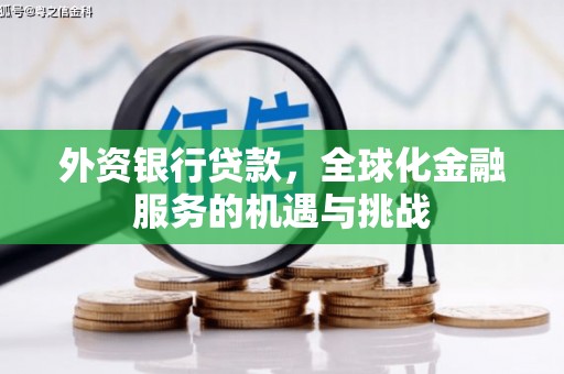 水林外资银行贷款，全球化金融服务的机遇与挑战