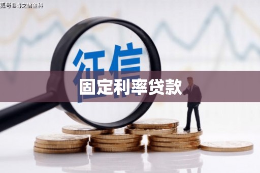 田林固定利率贷款
