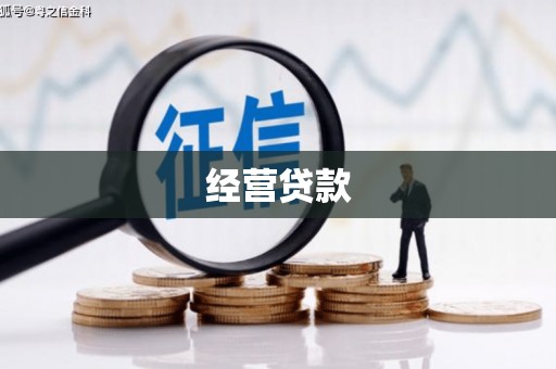 贵定经营贷款