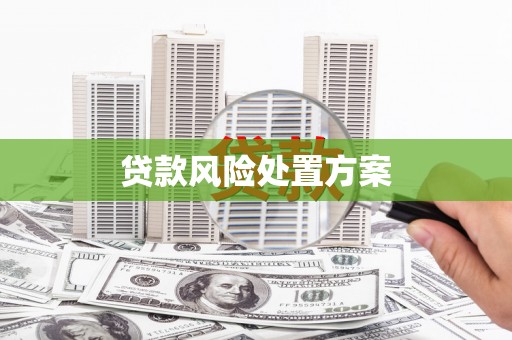建宁贷款风险处置方案