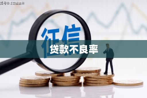 安南贷款不良率