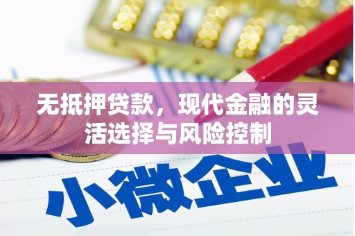 溆浦无抵押贷款，现代金融的灵活选择与风险控制