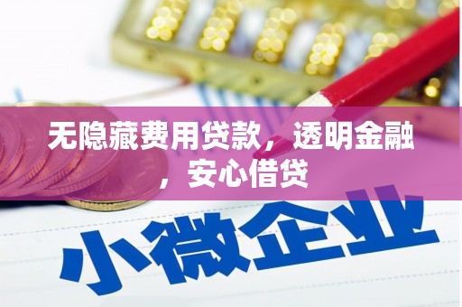 上街无隐藏费用贷款，透明金融，安心借贷
