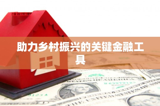 衢山助力乡村振兴的关键金融工具
