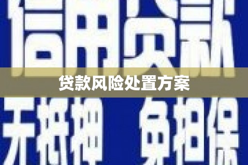 屏南贷款风险处置方案