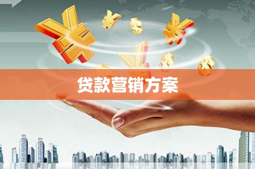 宝兴贷款营销方案