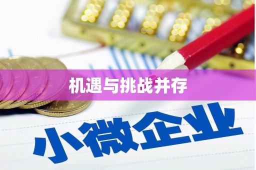 江苏机遇与挑战并存