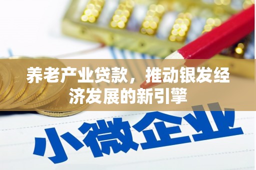 雨花养老产业贷款，推动银发经济发展的新引擎