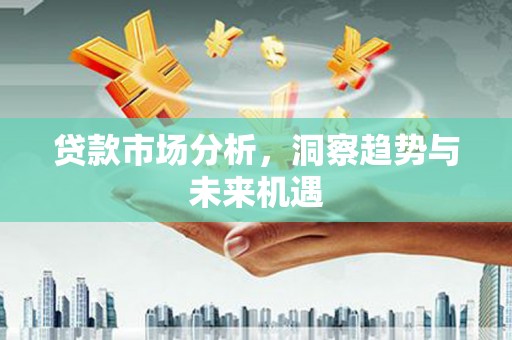 褒忠贷款市场分析，洞察趋势与未来机遇