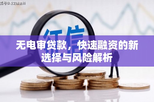 安岳无电审贷款，快速融资的新选择与风险解析